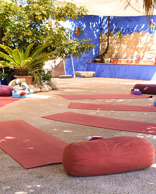 vegan yoga retreat valencia 2