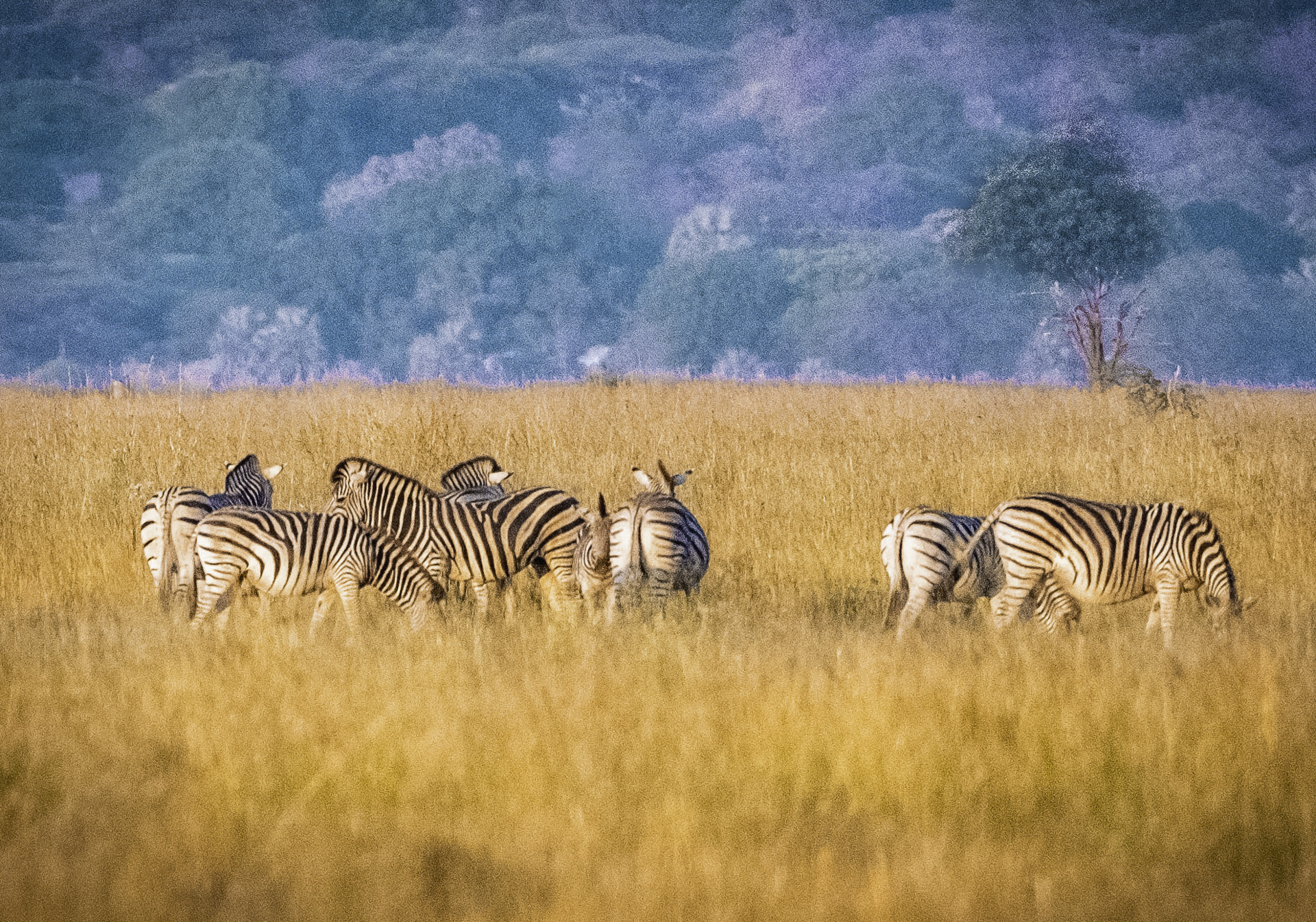 Safari-Yoga-Retreat-Bottswana-Zambia-Zimbabwe-Munga-Plains-Lauren-Rudick - wildlife