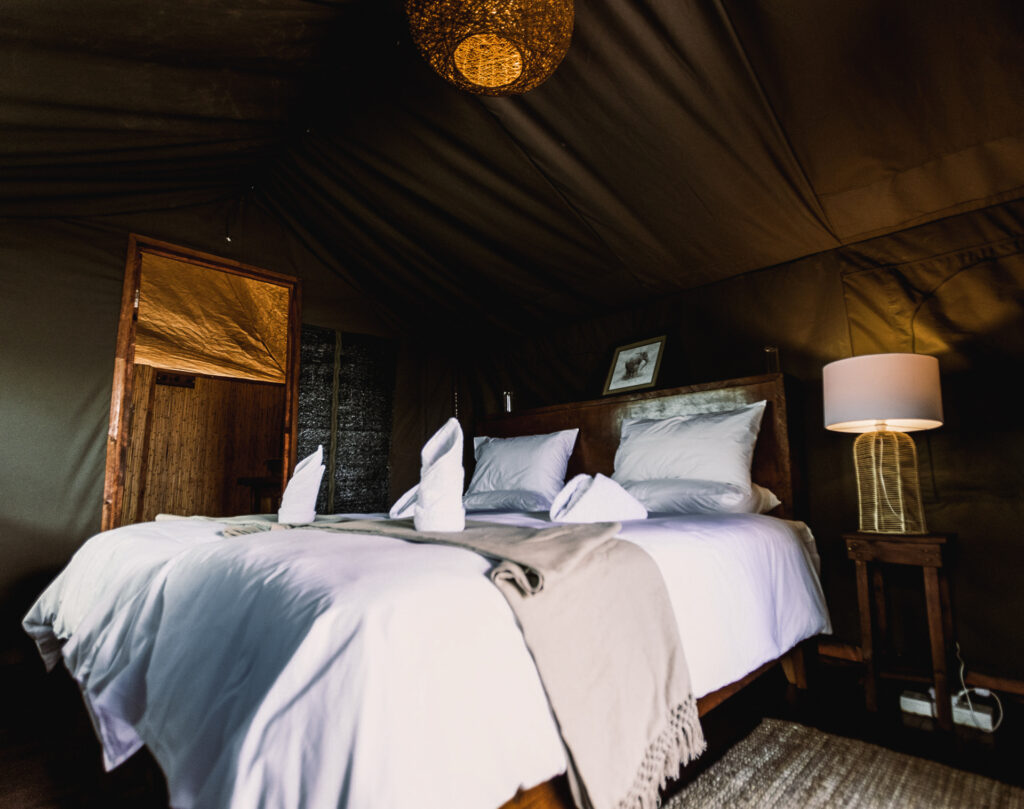 Safari-Yoga-Retreat-Bottswana-Zambia-Zimbabwe-Munga-Plains-Lauren-Rudick - rooms