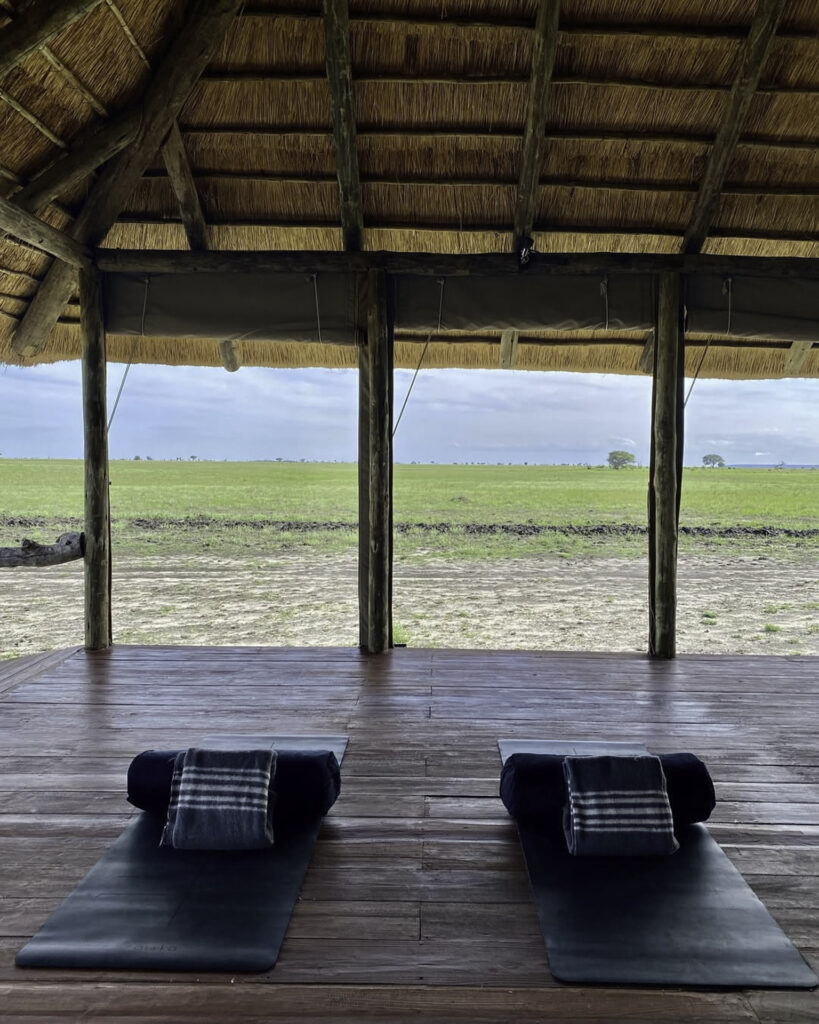 Safari-Yoga-Retreat-Bottswana-Zambia-Zimbabwe-Munga-Plains-Lauren-Rudick
