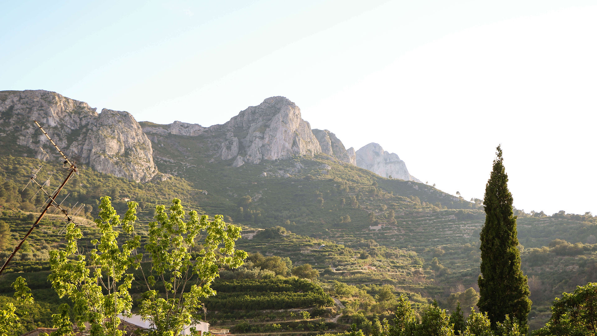 vegan yoga retreat valencia 4
