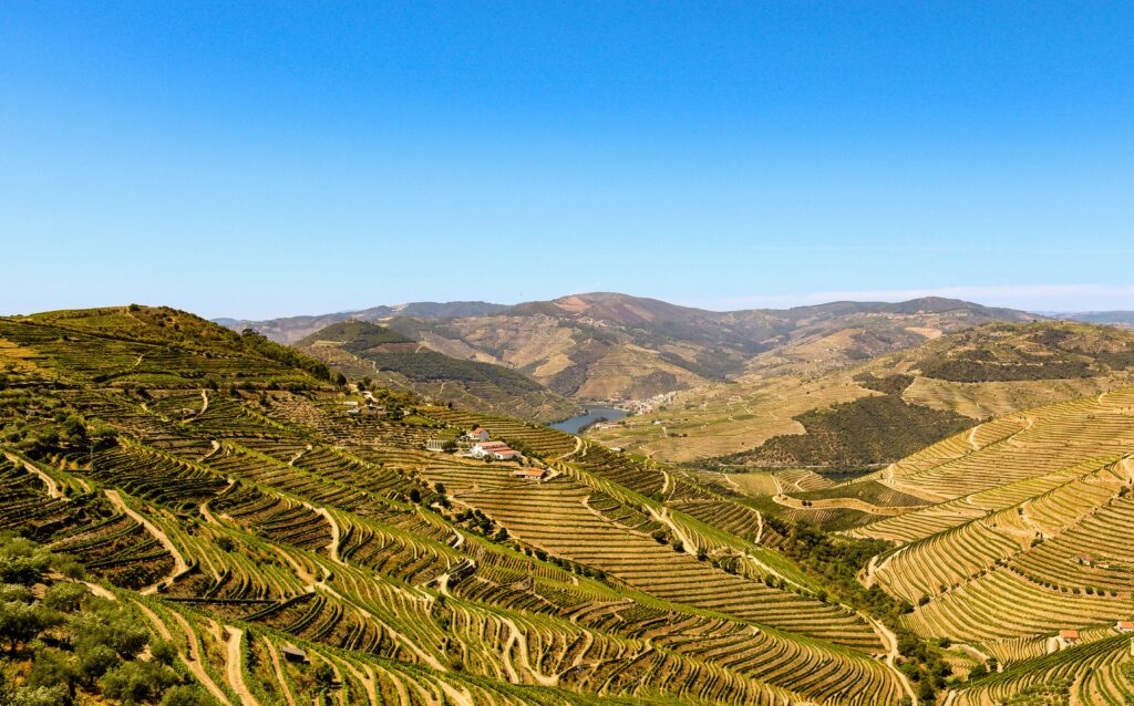 Yoga & Wine Retreats in the Douro Valley