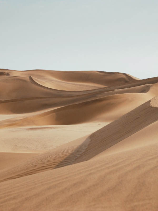 sahara desert
