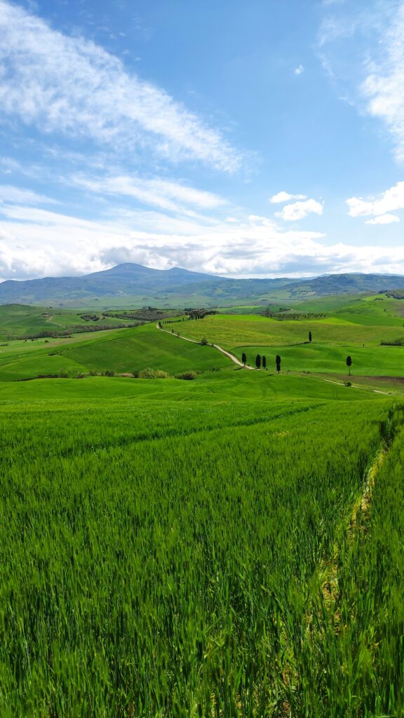 italy, countryside