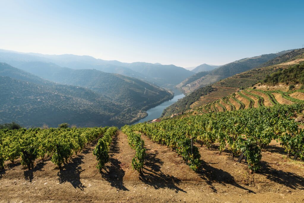 why portugal is becoming a wellness sanctuary