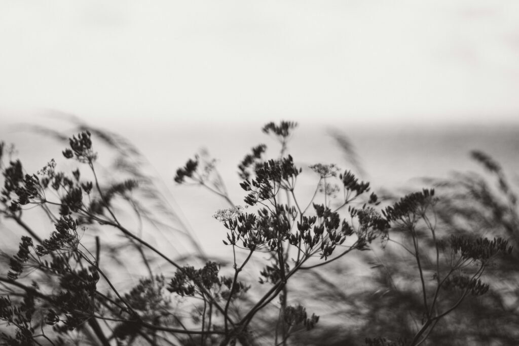 silence at the beginning of a retreat