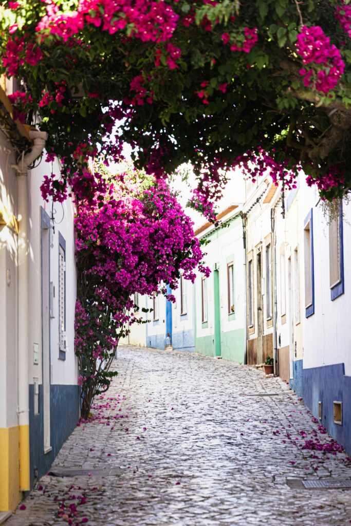 town in algarve