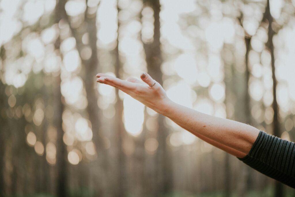 wellness experiences to combine with a yoga retreat in Portugal