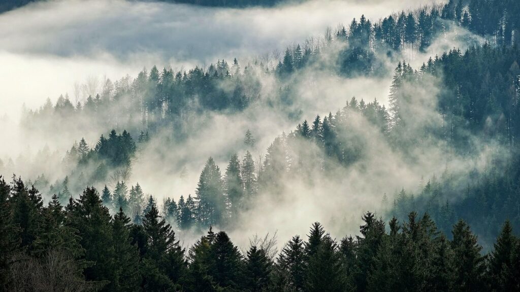 mounntains stilllness