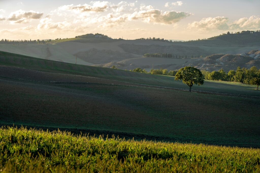 rolling hills tuscany