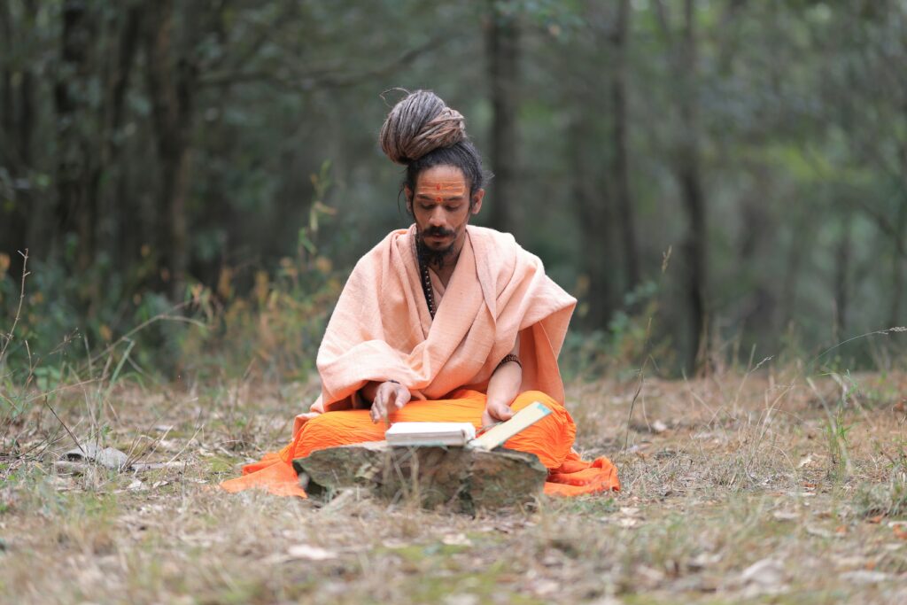 Ayurveda retreats in India | November 2026