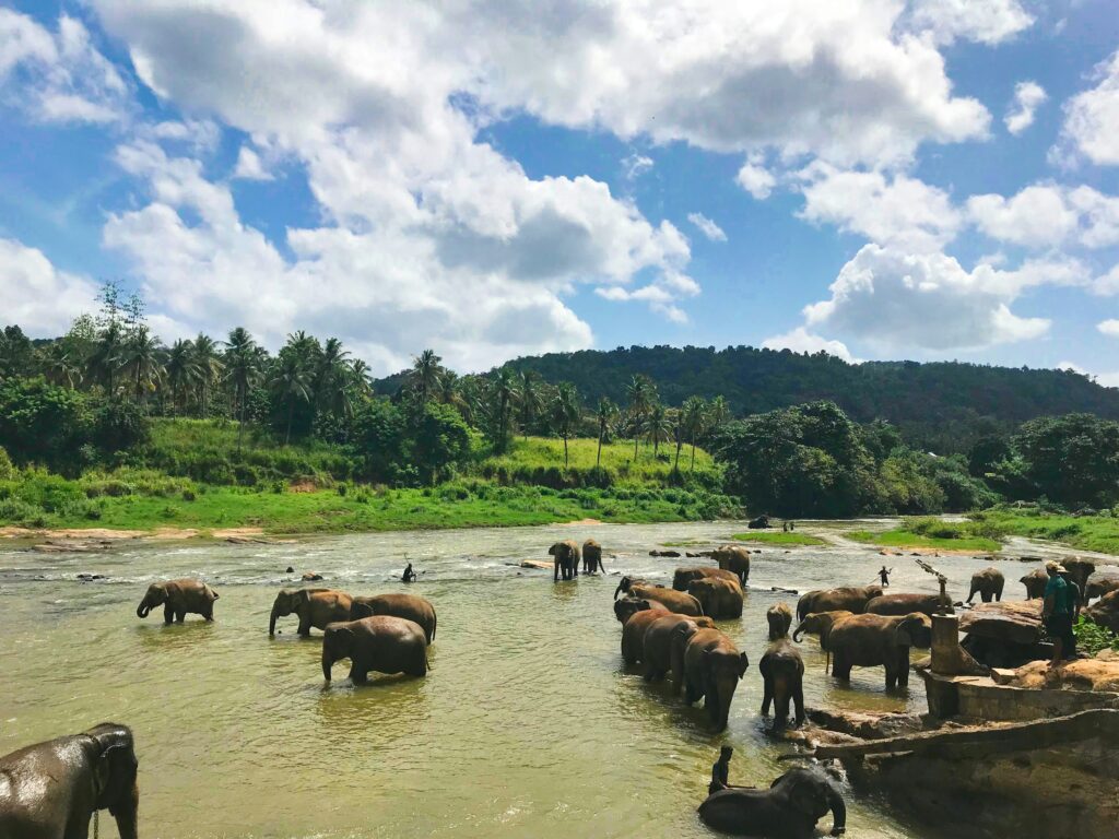 Ayurveda retreats in Sri Lanka - September 2026
