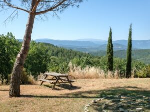 Spring Yoga Retreats in Greece 2026