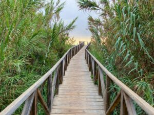 Yoga and Wellness Retreats in Spain in July 2026