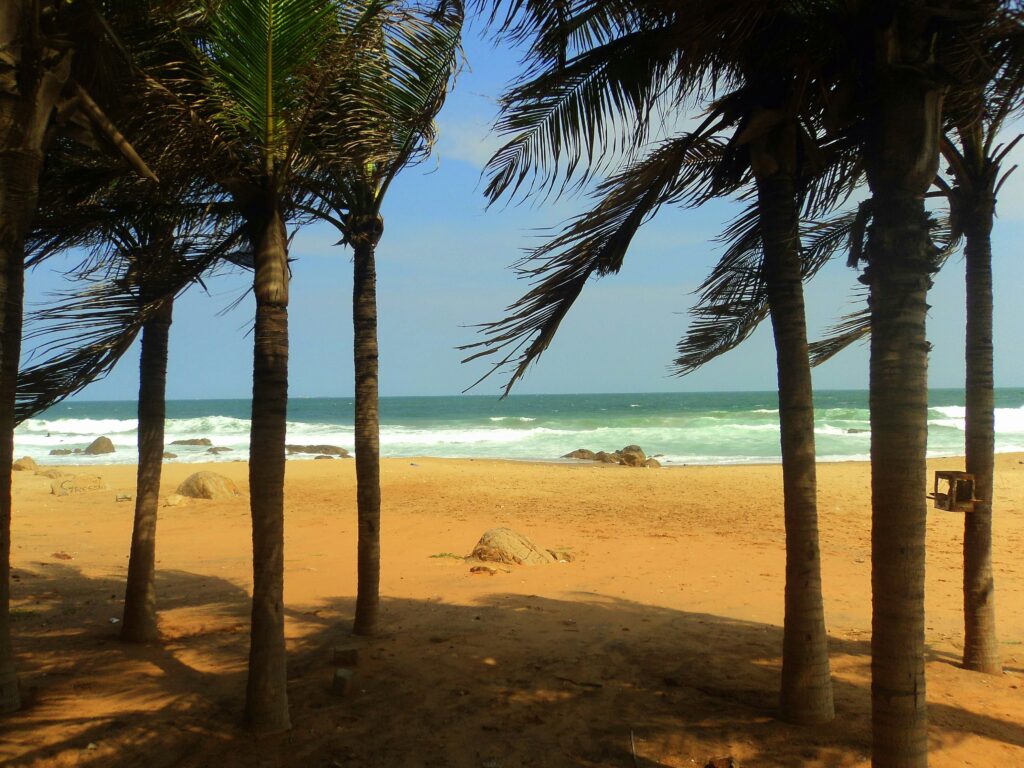 Yoga retreats in India - April 2026