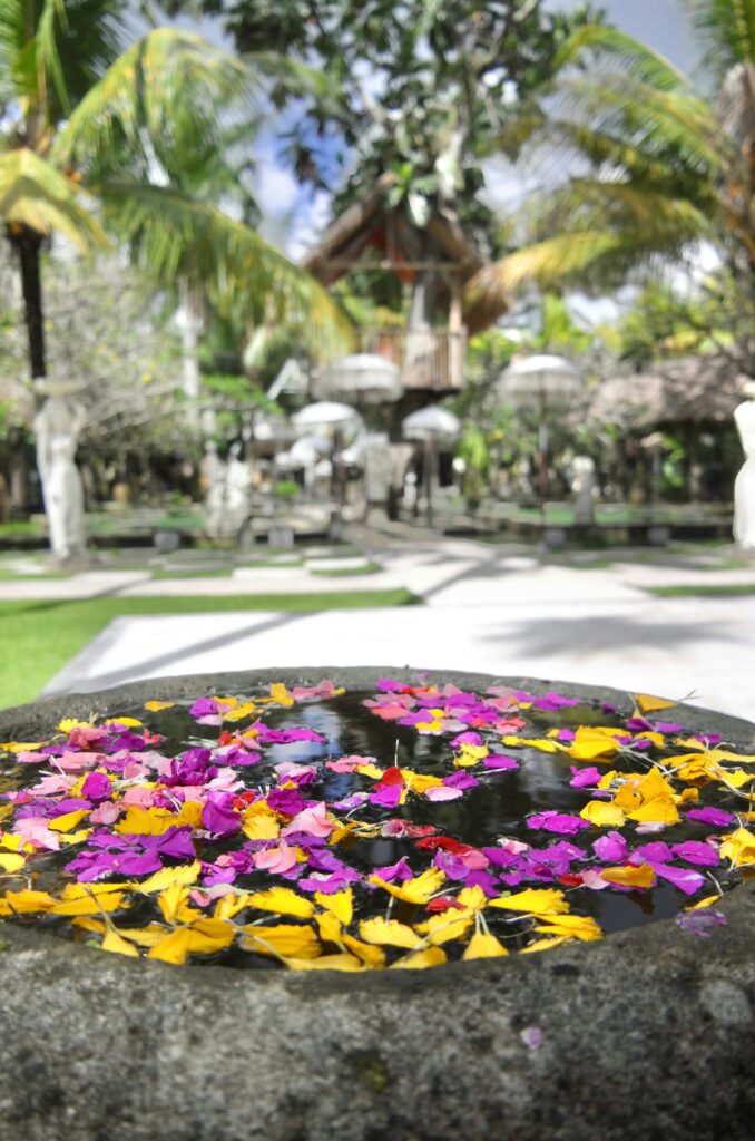 Luxury wellness retreats - June 2026 - a Curated Selection