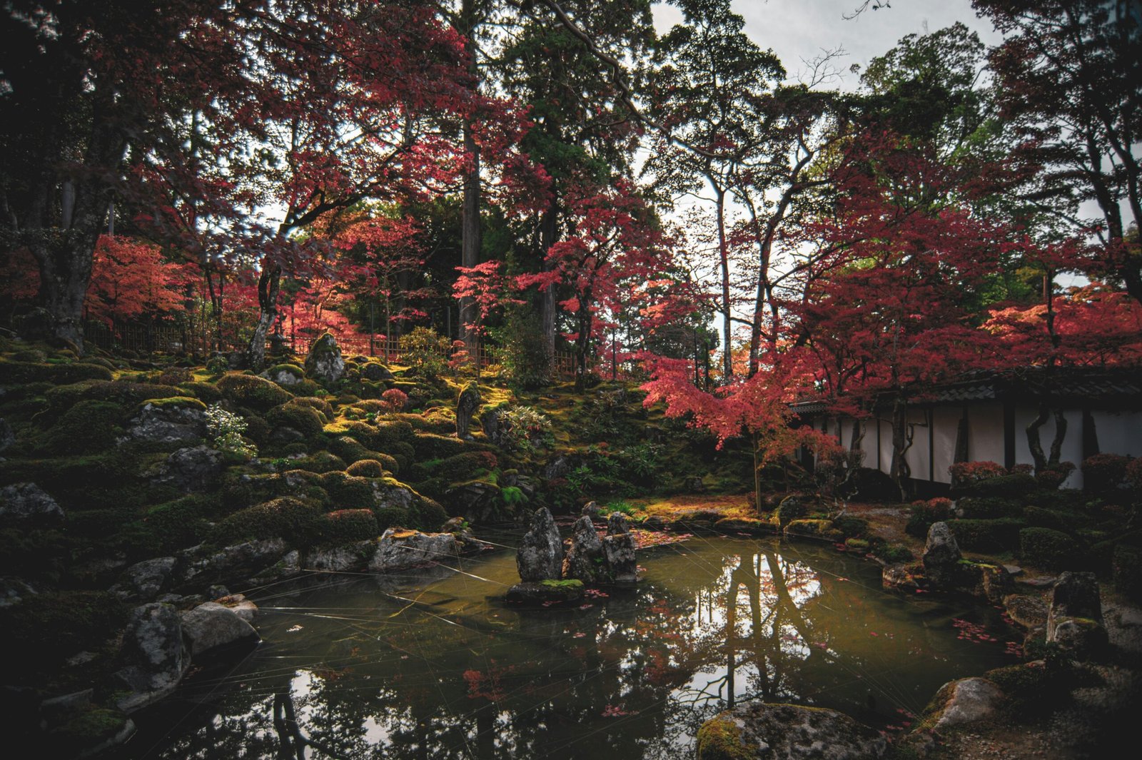 Tranquil autumn garden pond with rich seasonal color, matching the restorative mood of an Ayurvedic escape