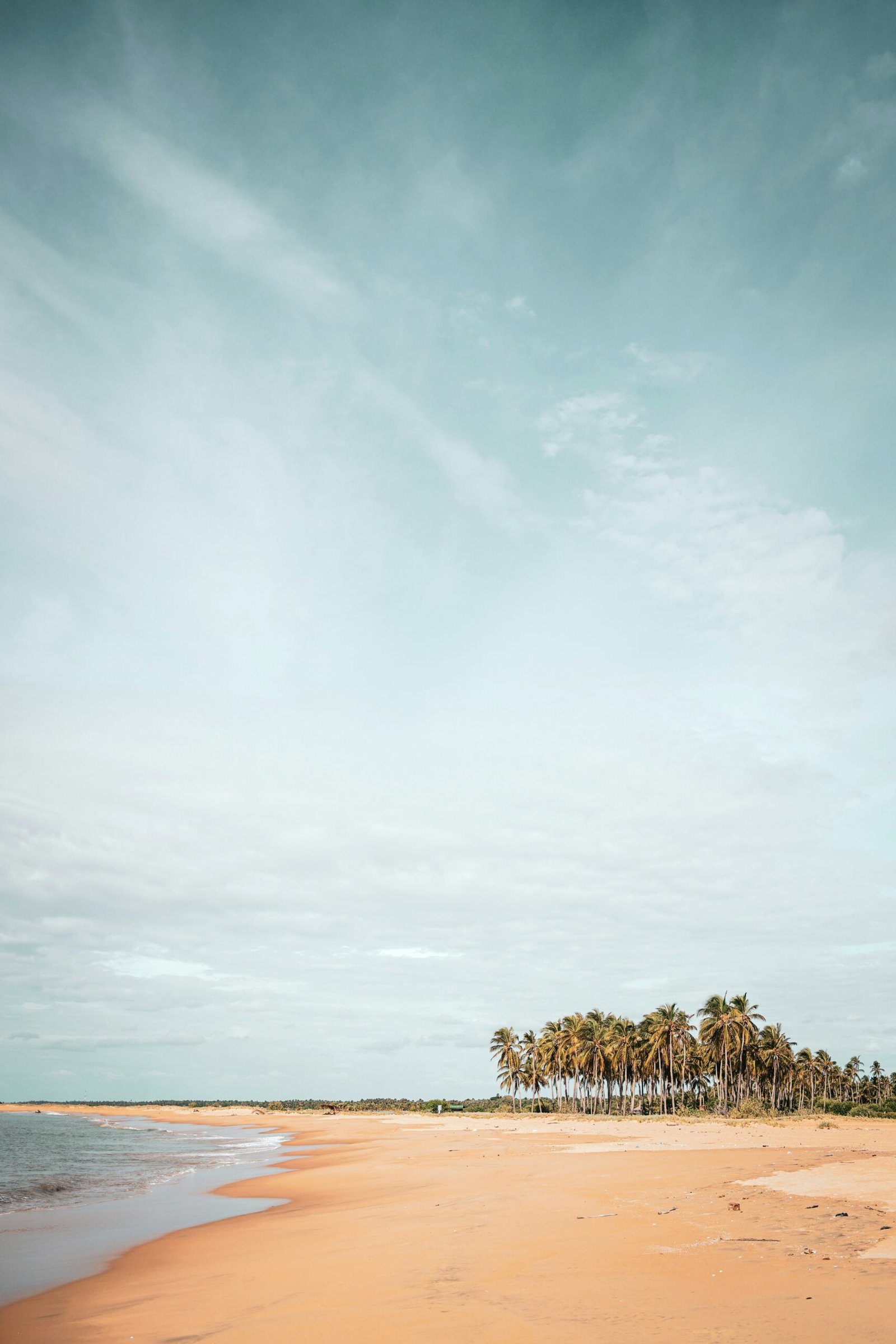 Green coastal landscape in Kudawa, Sri Lanka, reflecting the calm natural setting of a restorative wellness retreat.