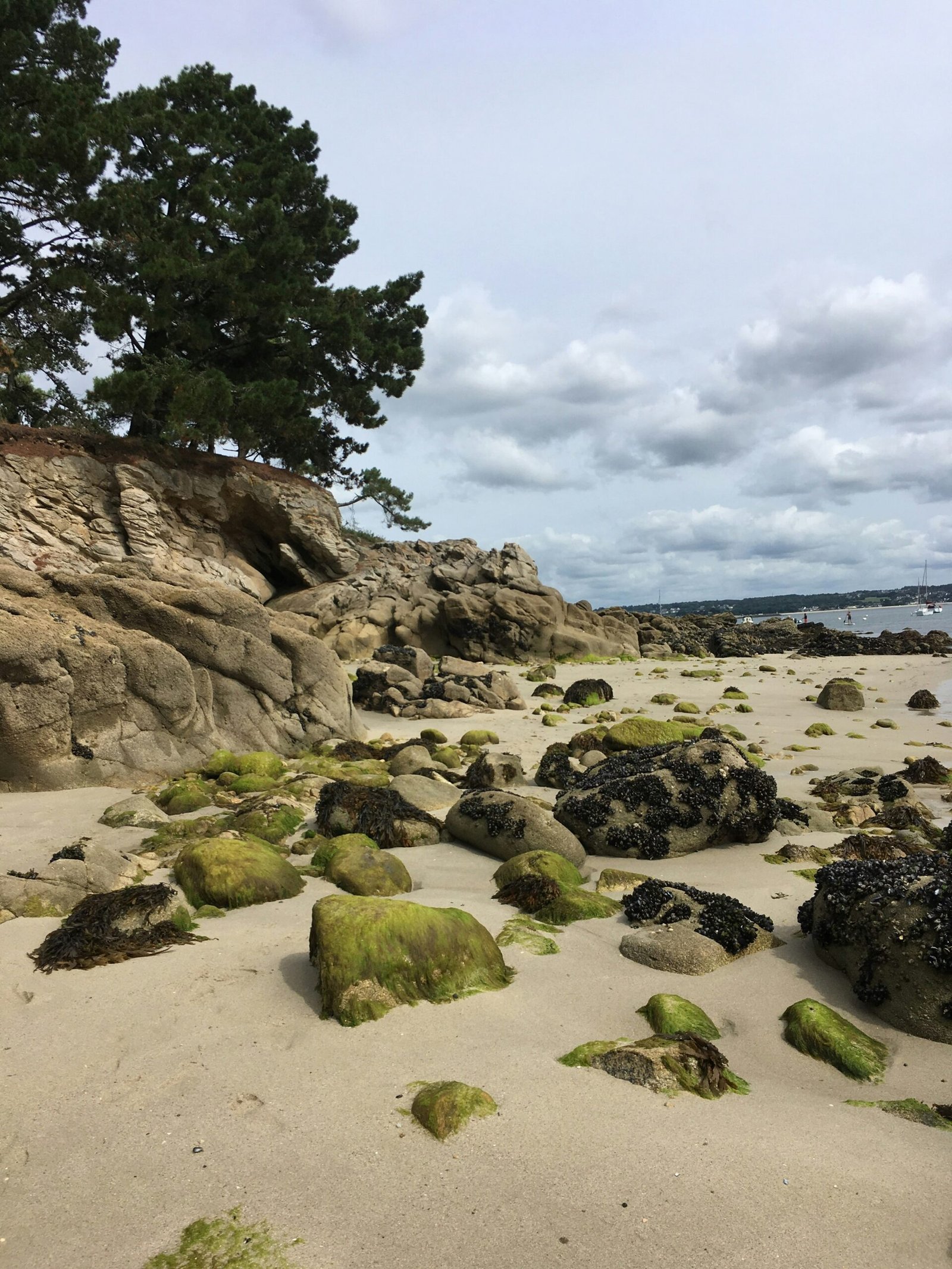 Rocky shoreline in Brittany, France with sea-worn stones and a fresh Atlantic coastal atmosphere.