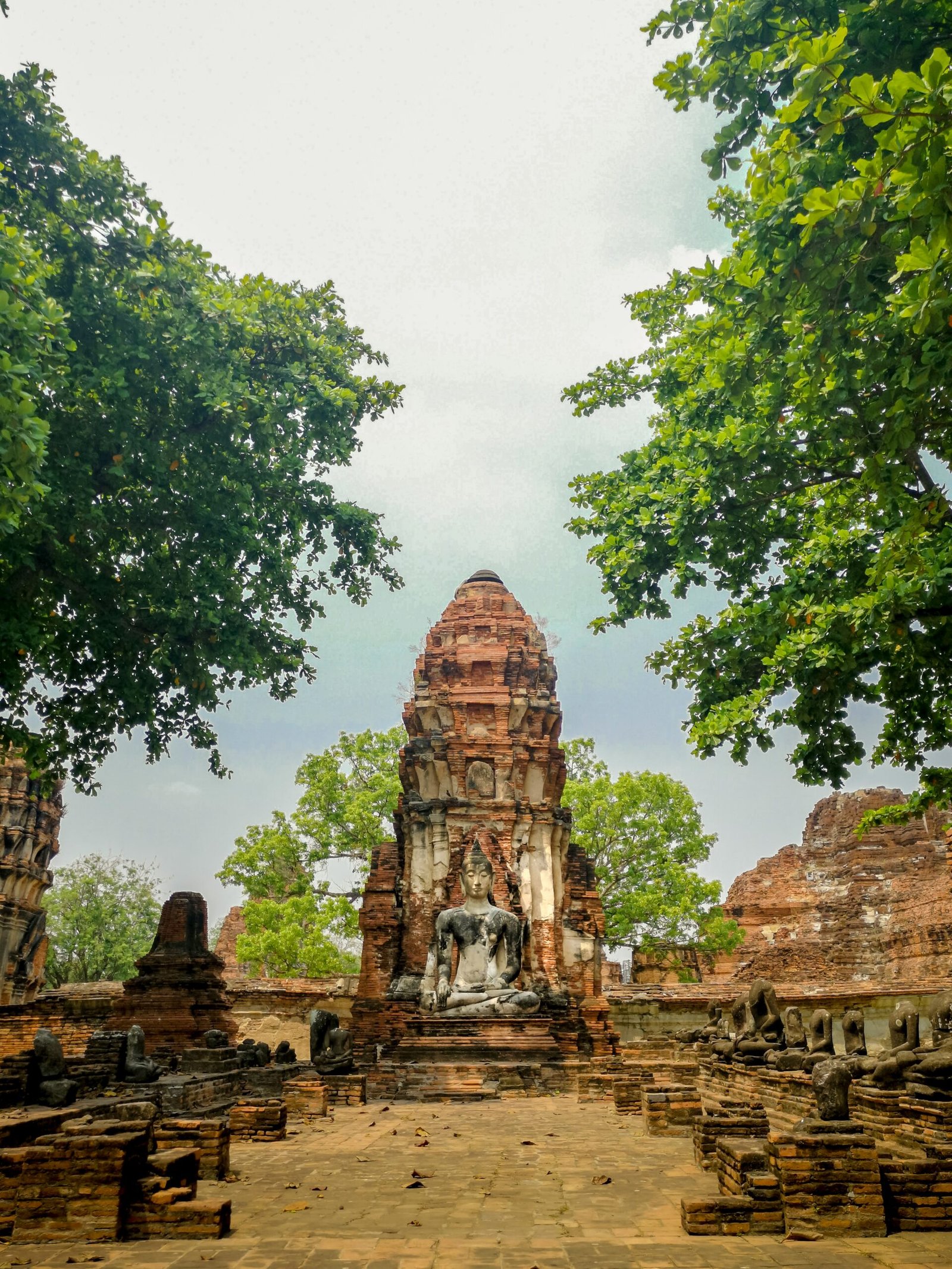 Alt tag: ancient ayutthaya temple ruins surrounded by trees and warm dry season light