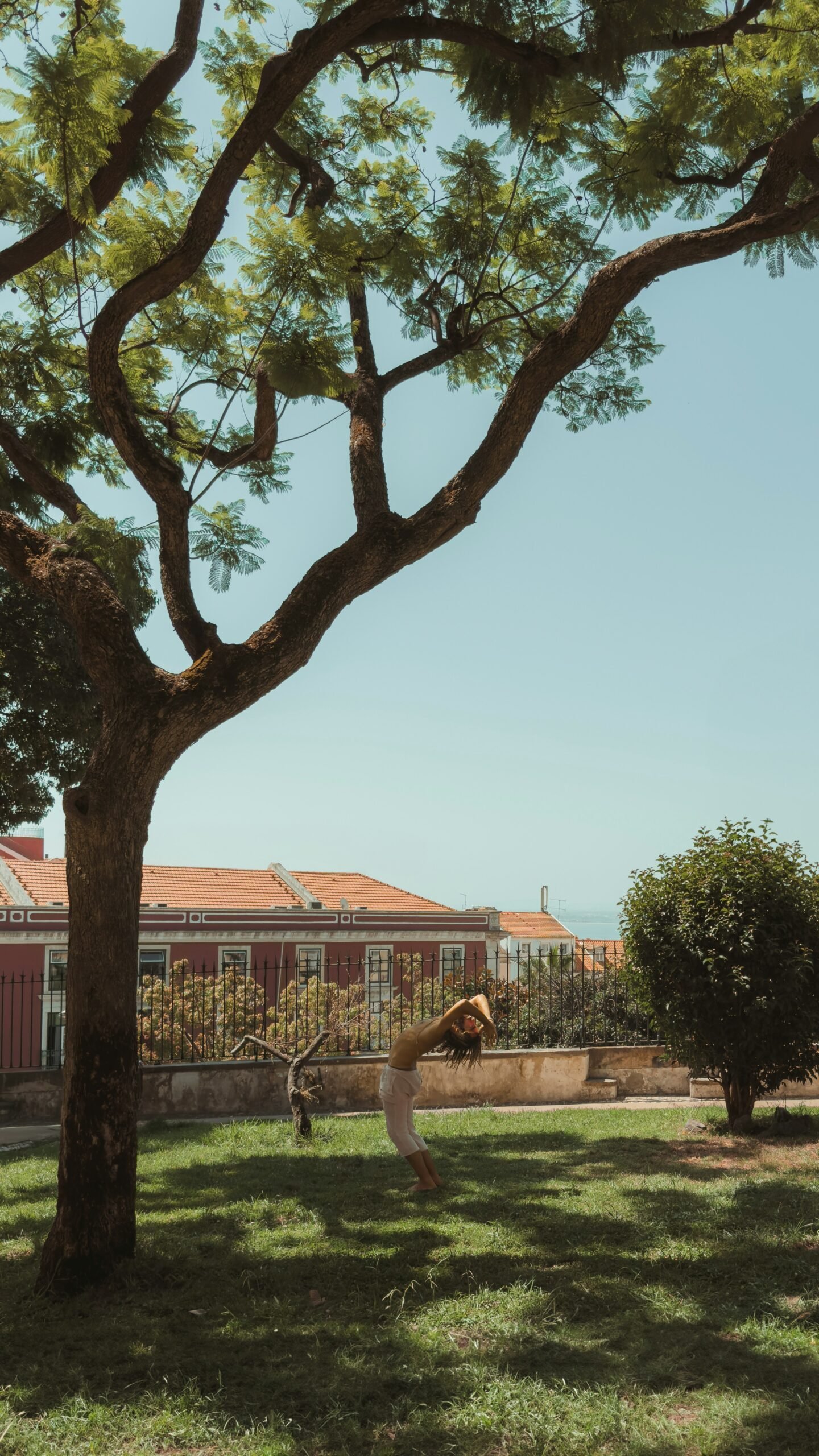 A peron practicing a backbend yoga pose under a large shade tree in a Lisbon park, demonstrating the pleasant summer weather and urban wellness spots in Portugal.
