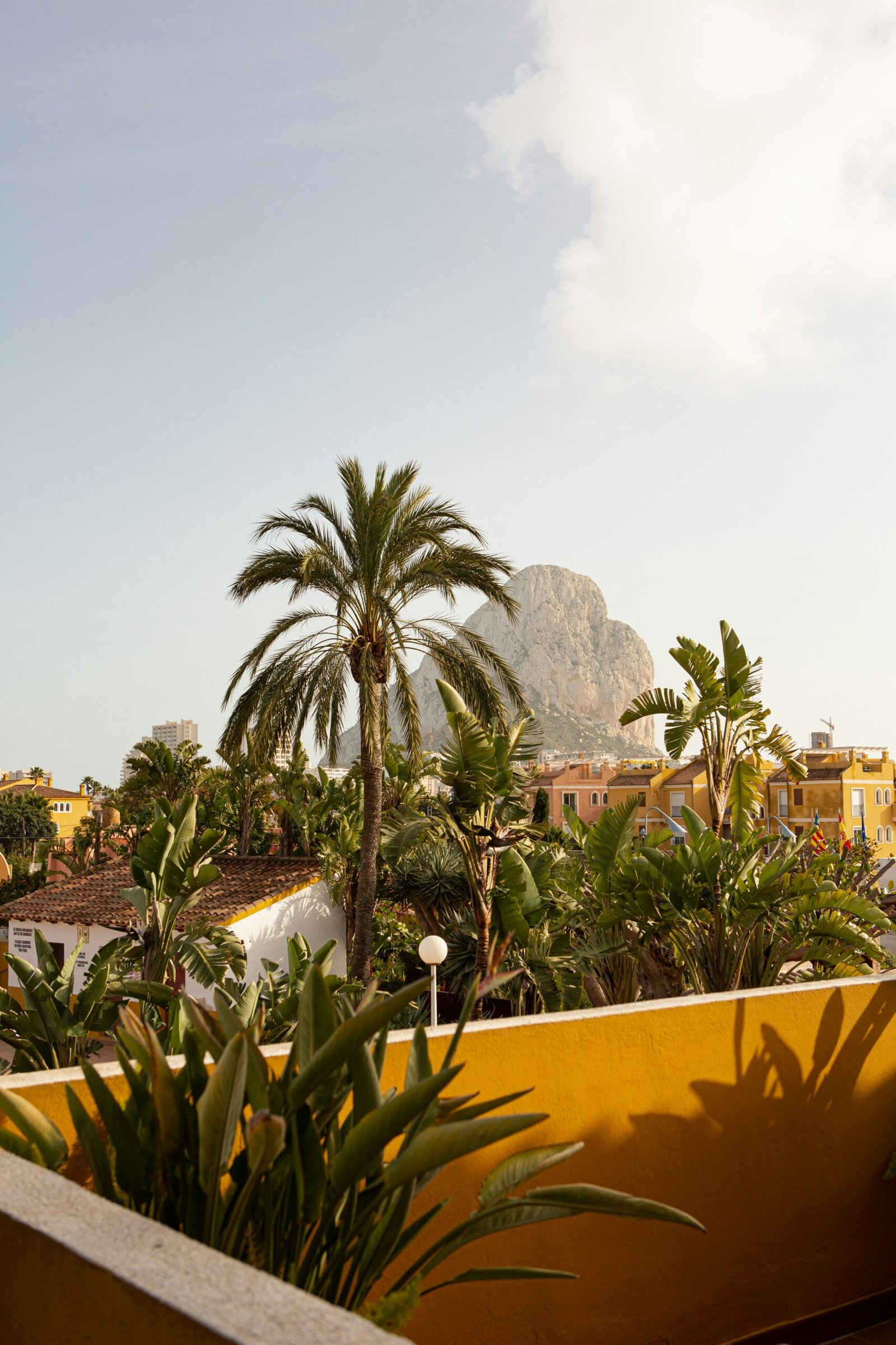 Palm trees and a terrace view in Calpe, Spain, with the Peñón de Ifach rock formation in the background.
