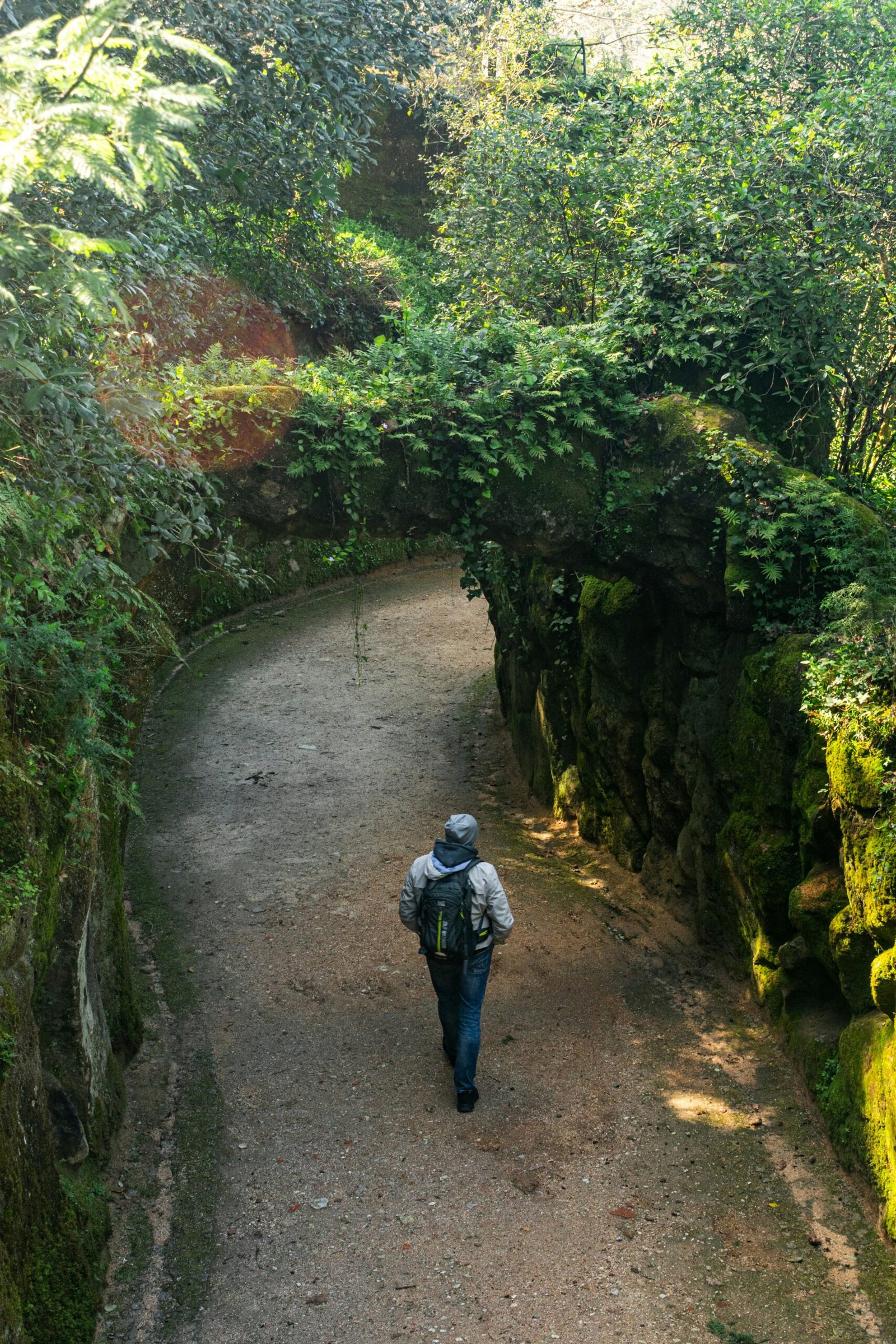 forest trail in sintra portugal for a peaceful nature based yoga retreat