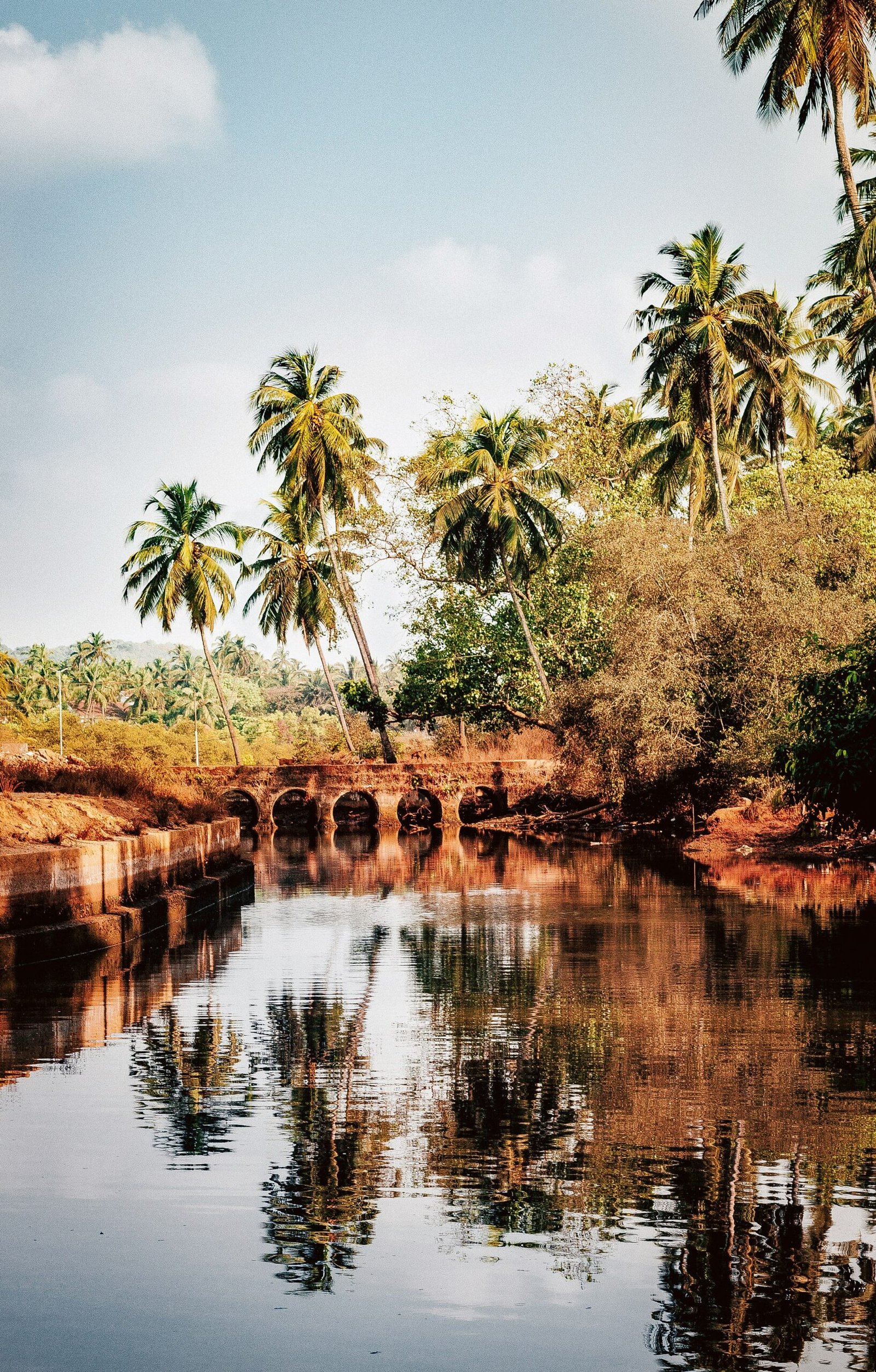 People bathing in a palm-lined river in Goa, reflecting the cleansing and nature-connected rhythm of a retreat in India.