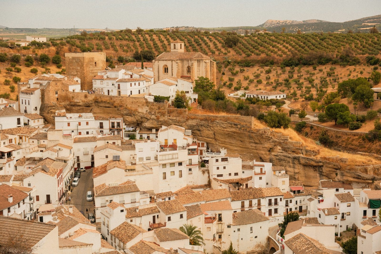 Hillside view of Ronda in Andalusia with white buildings and surrounding olive groves.