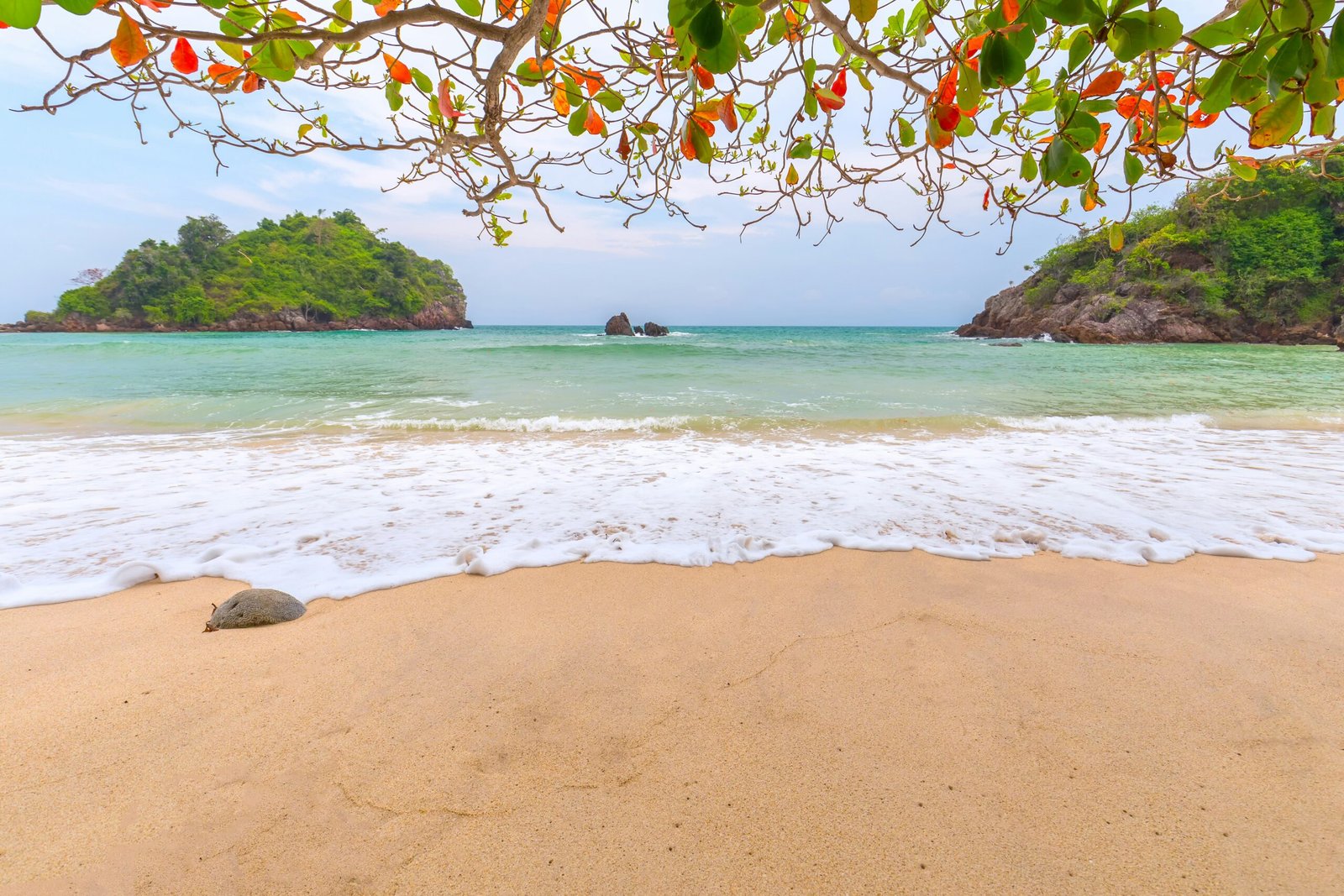 White-sand beach in Goa, reflecting the open and restorative coastal side of an October retreat in India.