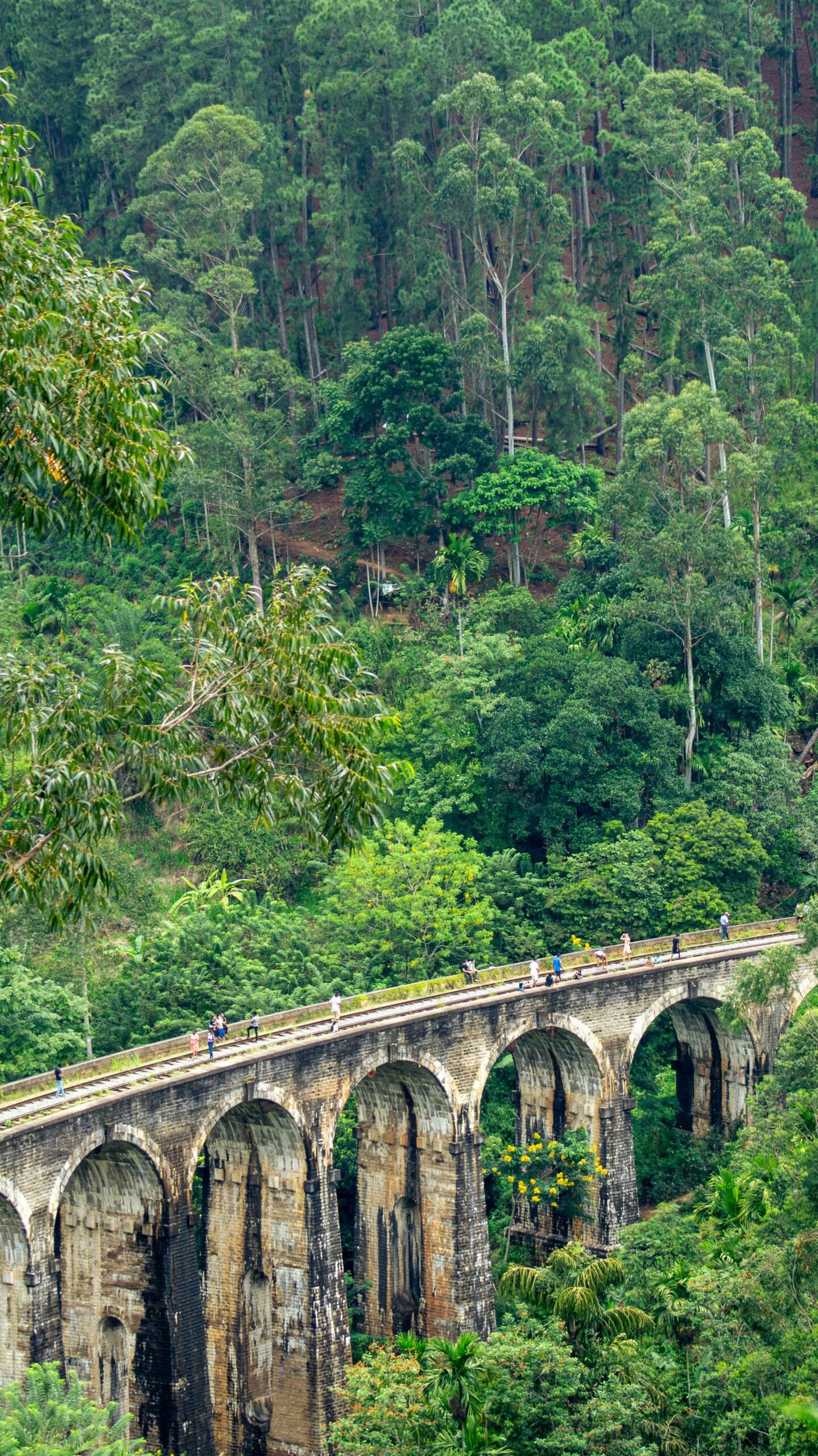 Nine Arches Bridge surrounded by lush forest in Sri Lanka, evoking the grounding beauty of an ayurveda retreat journey.