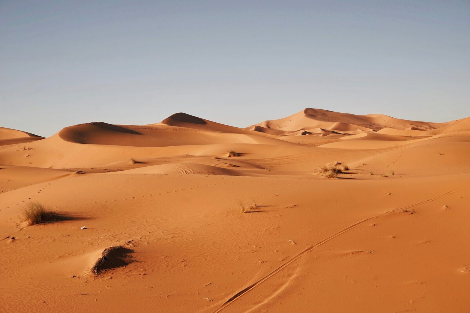 yoga retreats in the sahara desert