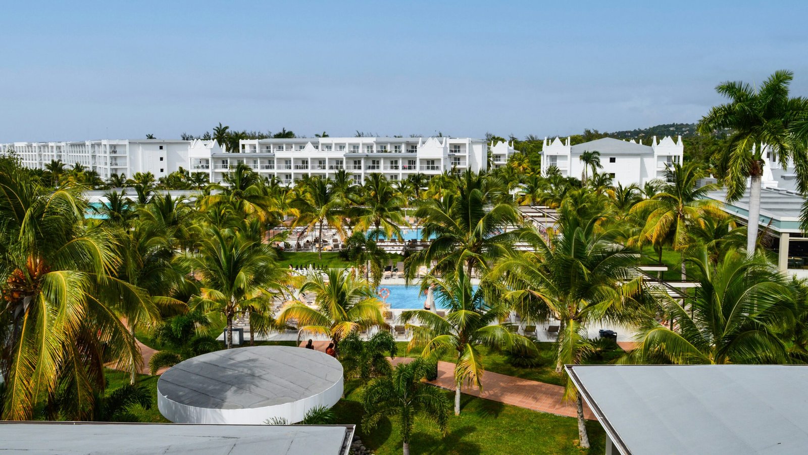 Tropical resort pools lined with palms for a relaxing retreat stay