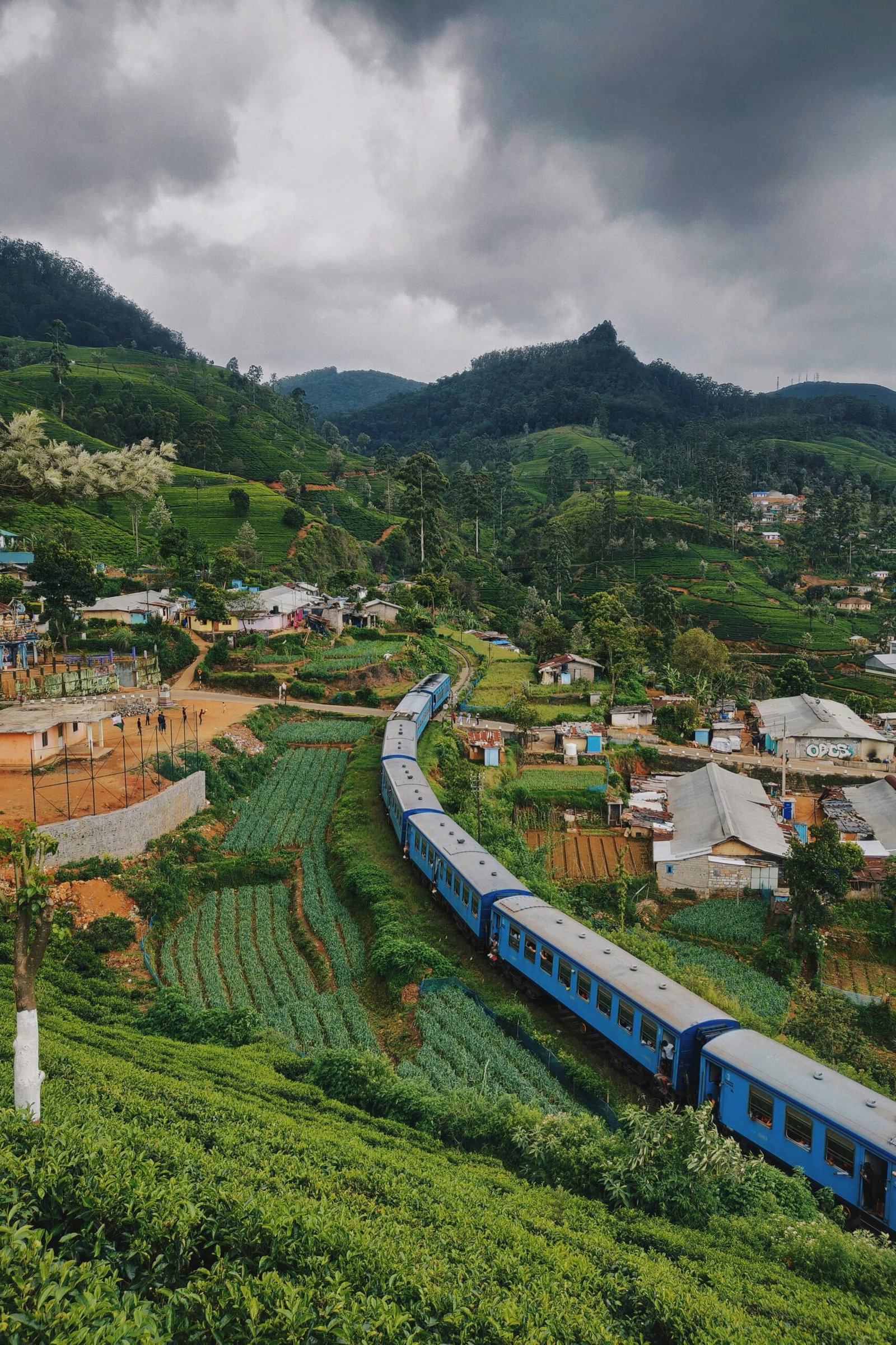 Blue train passing through Nanuoya in Sri Lanka, reflecting the scenic and restorative feel of a hill-country yoga retreat journey.