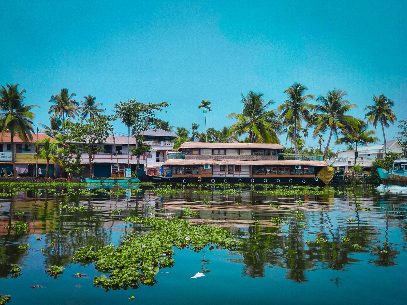Palm-lined Kerala backwaters in Alappuzha creating a calm setting for a spring Ayurveda detox retreat.