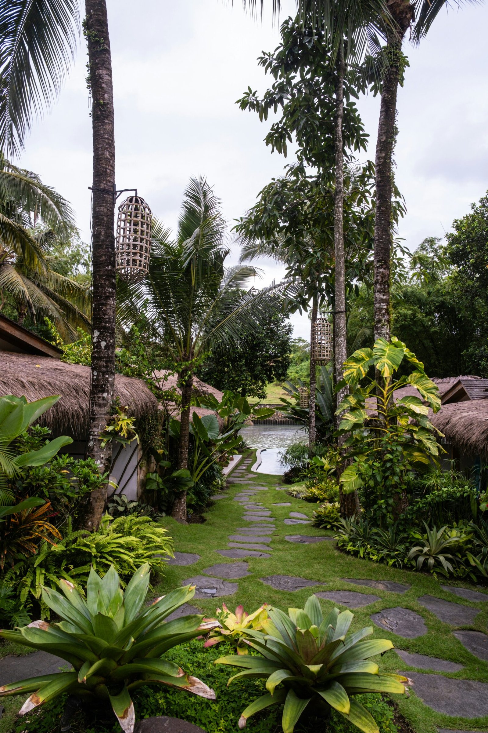 Palm-lined garden path leading through a tranquil wellness retreat setting