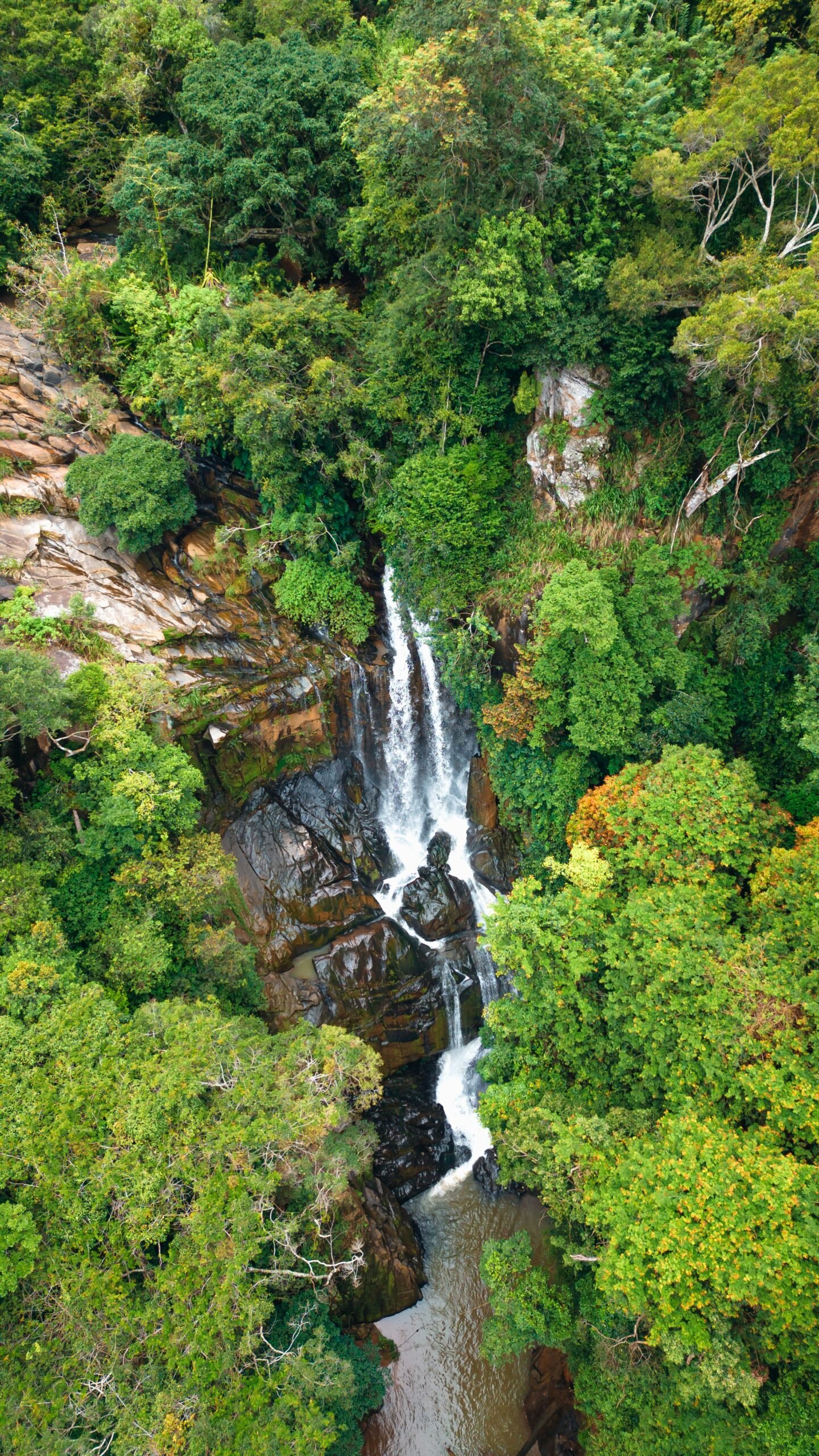 Waterfall and dense greenery in Ella, Sri Lanka, reflecting the restorative natural setting of a retreat in the highlands.