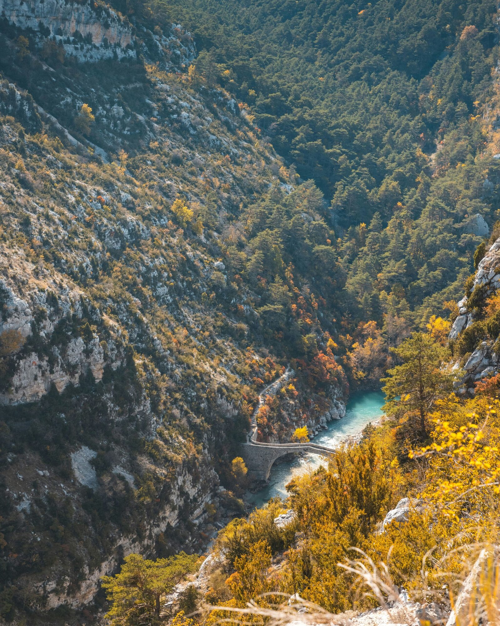Forest river winding through lush greenery, creating a peaceful nature setting for a restorative yoga retreat in France.
