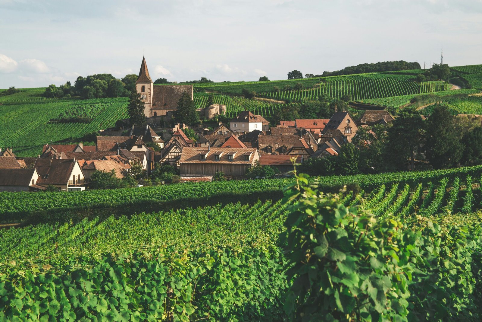 Alsace village surrounded by green fields, ideal for a peaceful countryside yoga retreat in France.