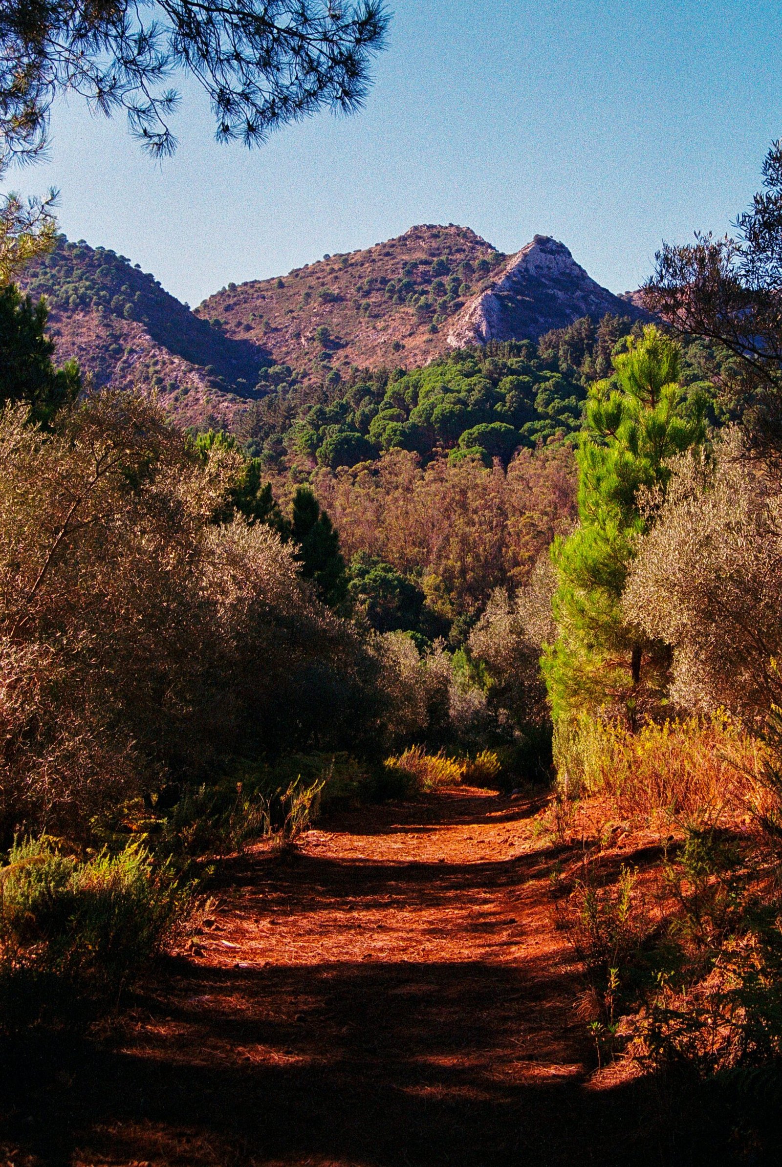 mountain landscape in catalonia spain for a grounding yoga retreat
