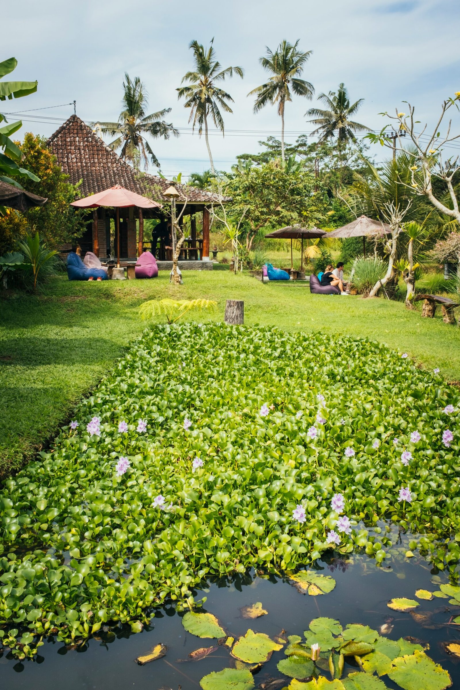 Guests seated in a peaceful garden space during a retreat centered on connection, reflection, and quiet wellbeing