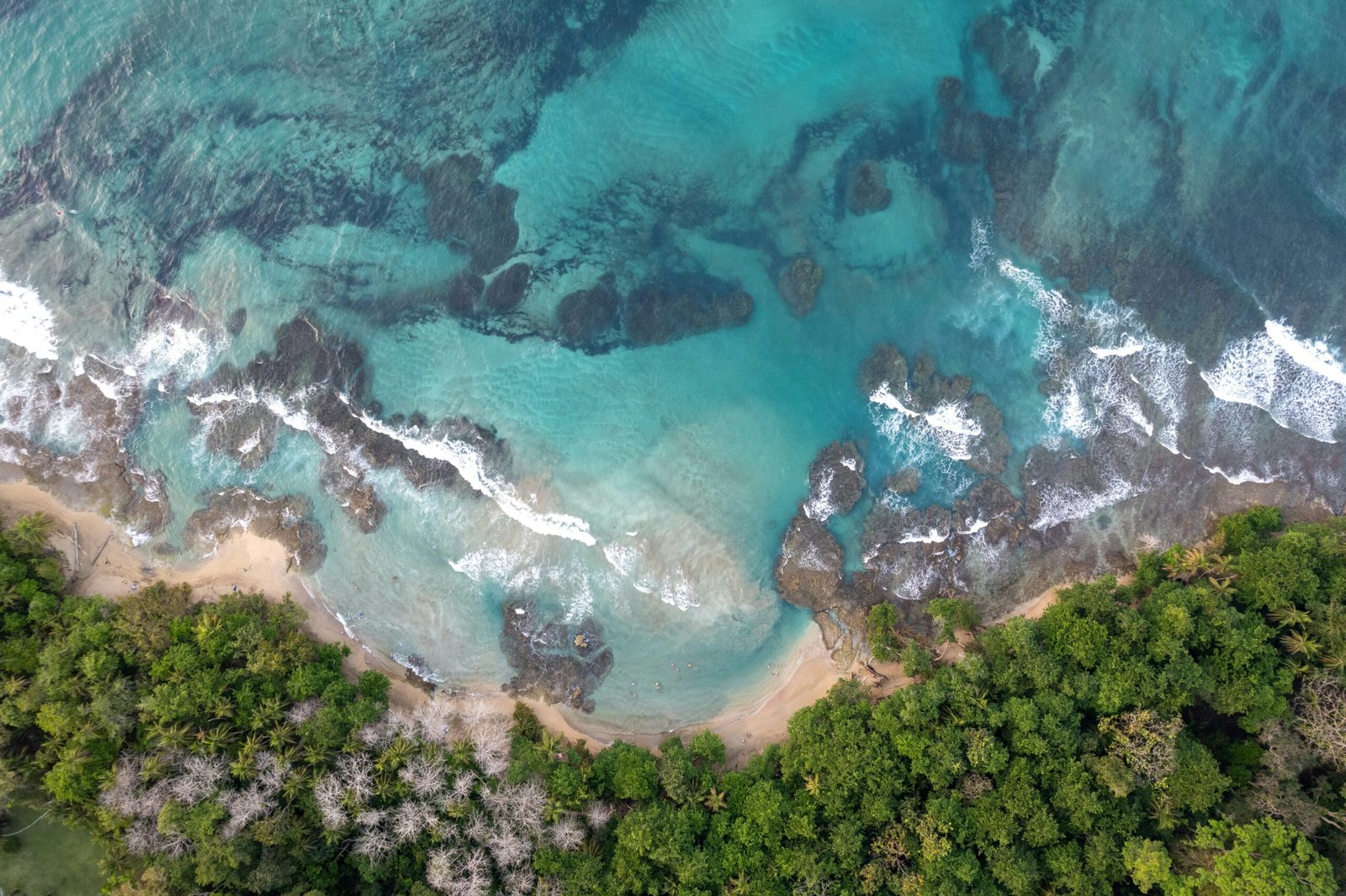 Aerial view of a quiet Costa Rica shoreline with turquoise water and dense tropical greenery