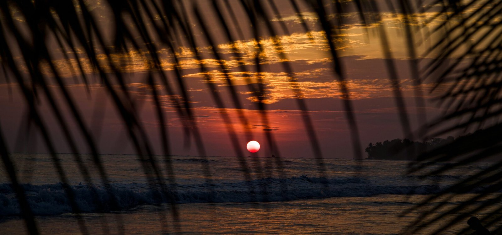 Palm-lined sunset over the beach in Uvita on Costa Rica’s southern Pacific coast