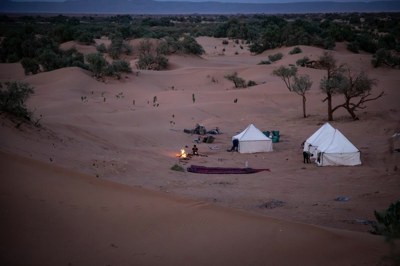 sahara campfire and tents under the cold december sky in morocco