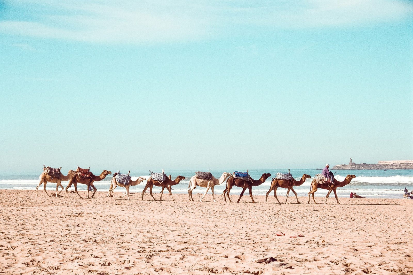 essaouira beach in morocco with long shoreline walks in early spring