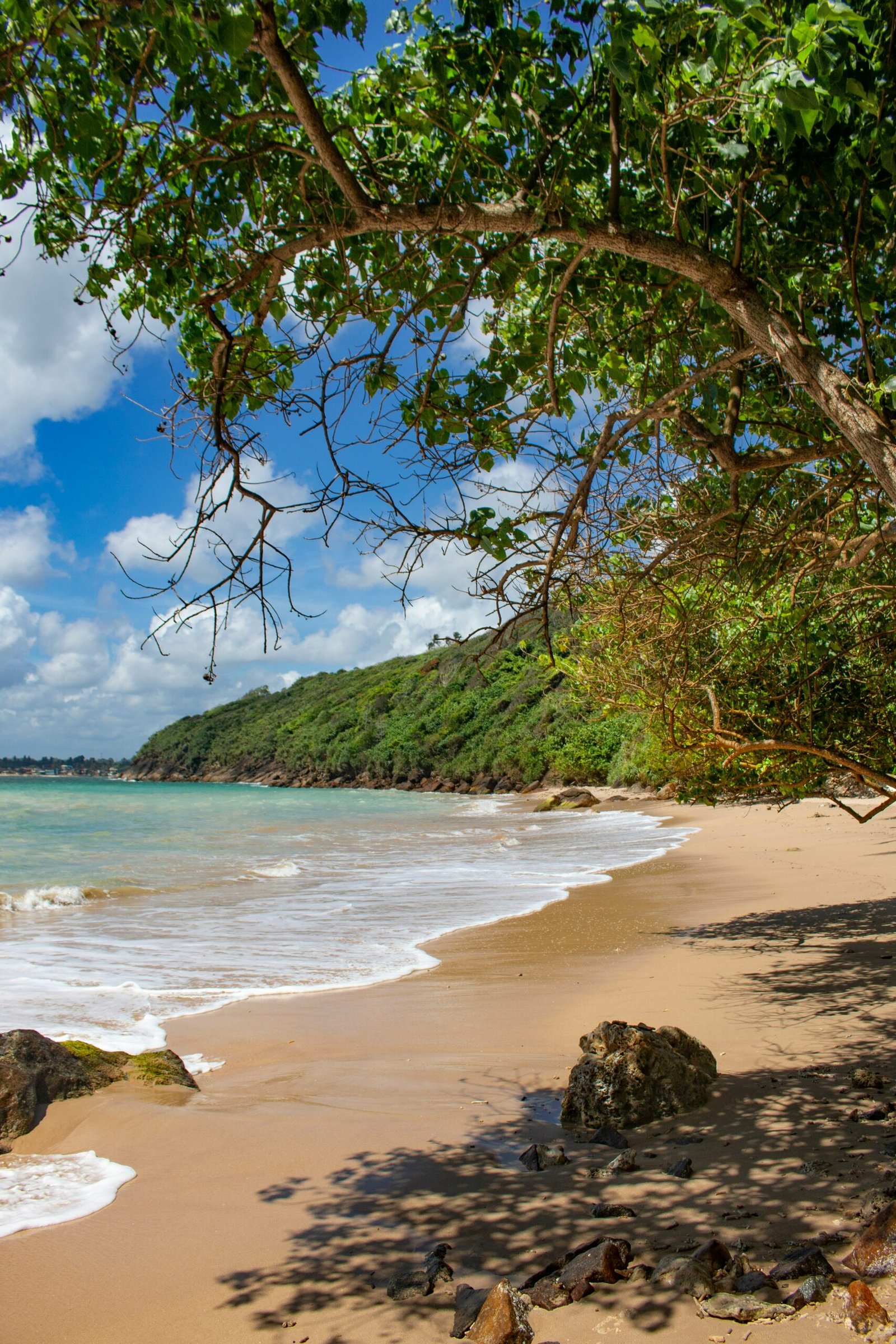 Unawatuna Jungle Beach in Sri Lanka, offering a calm oceanfront setting for a yoga retreat by the sea.