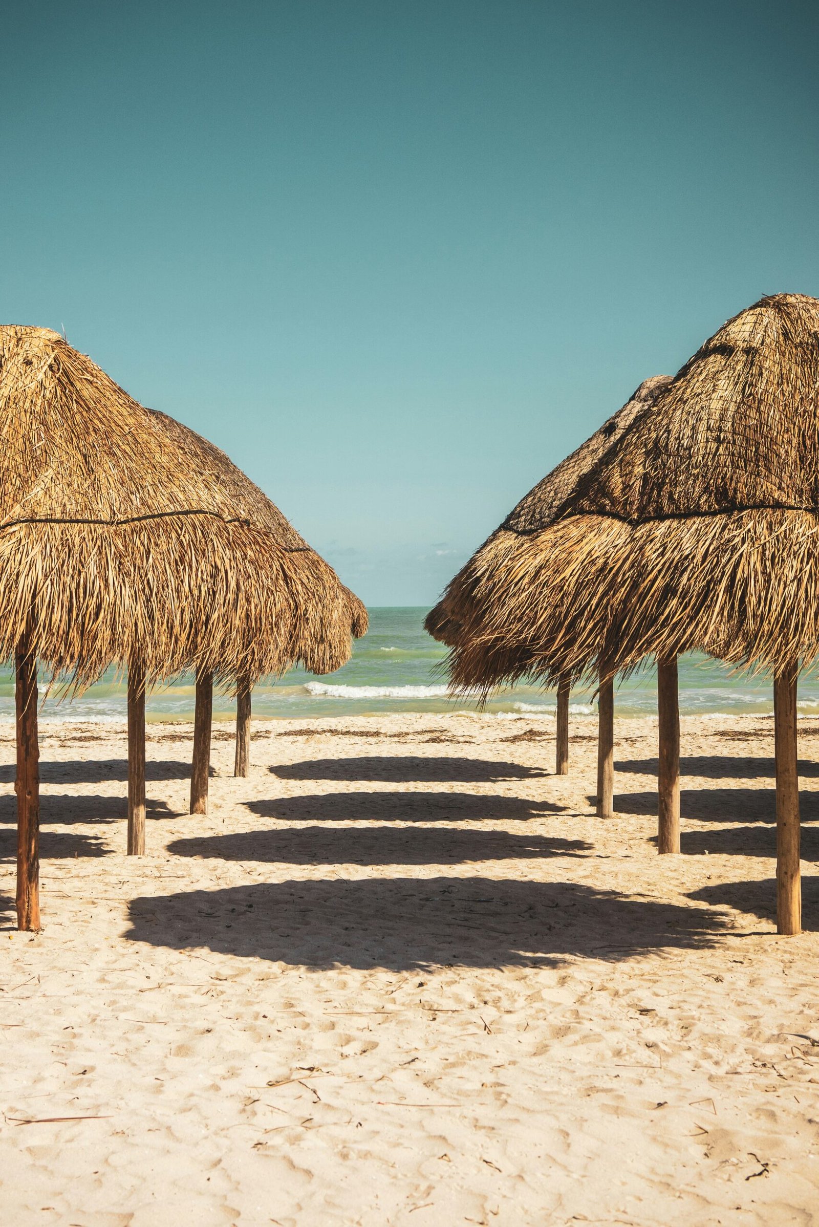 Beachfront nipa hut at a tropical wellness retreat with ocean views and natural surroundings