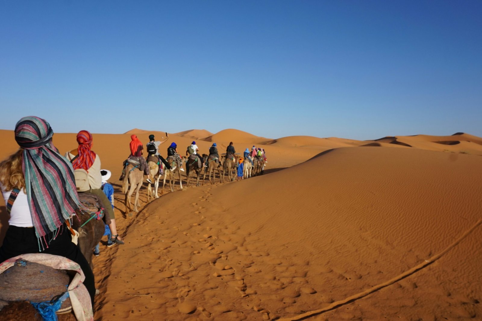 nomads i the sahara desert in a caravan