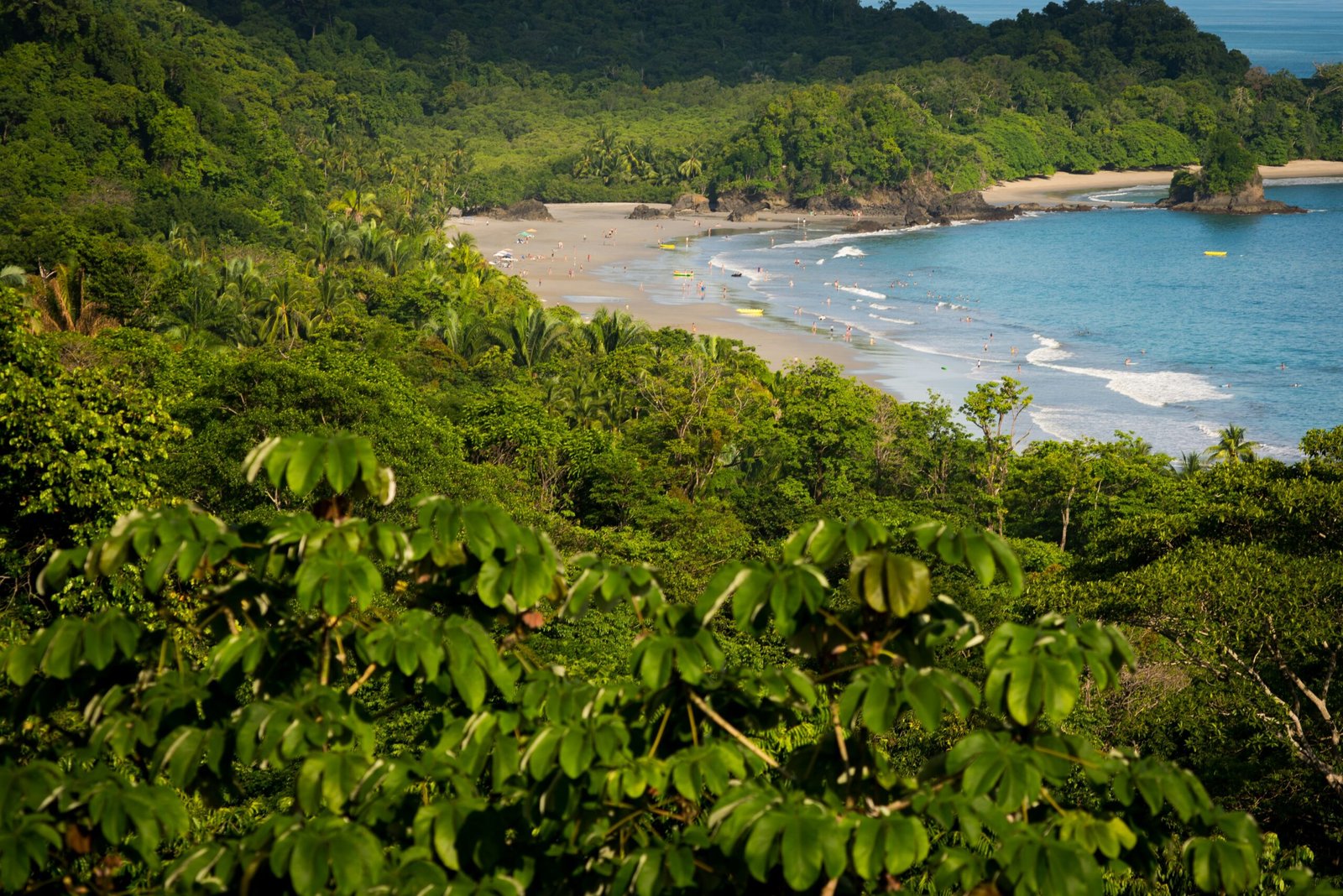 Green jungle coastline and calm water at Manuel Antonio National Park in Quepos, Costa Rica.
