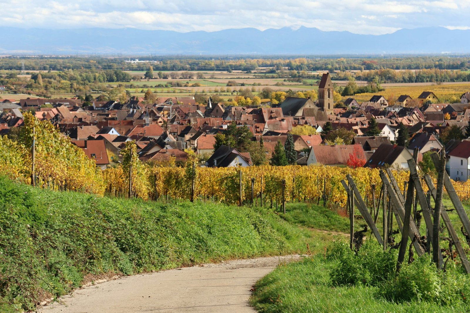 Autumn vineyards and village views in Eguisheim, creating a peaceful setting for a France yoga retreat in November.